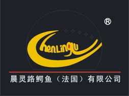 桐鄉(xiāng)市博通商標(biāo)代理旗下網(wǎng)站 商標(biāo)代理的專業(yè)服務(wù)平臺(tái)解析